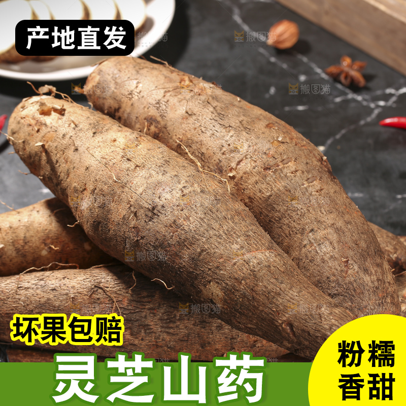 深底上放着灵芝山药