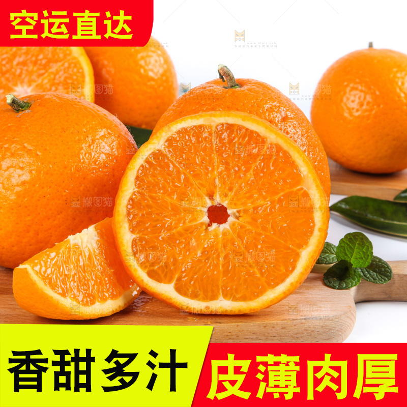 白底上放着青见柑橘