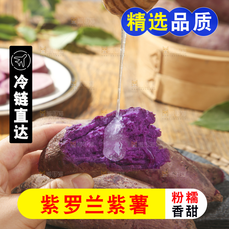 木底上的沙地紫薯