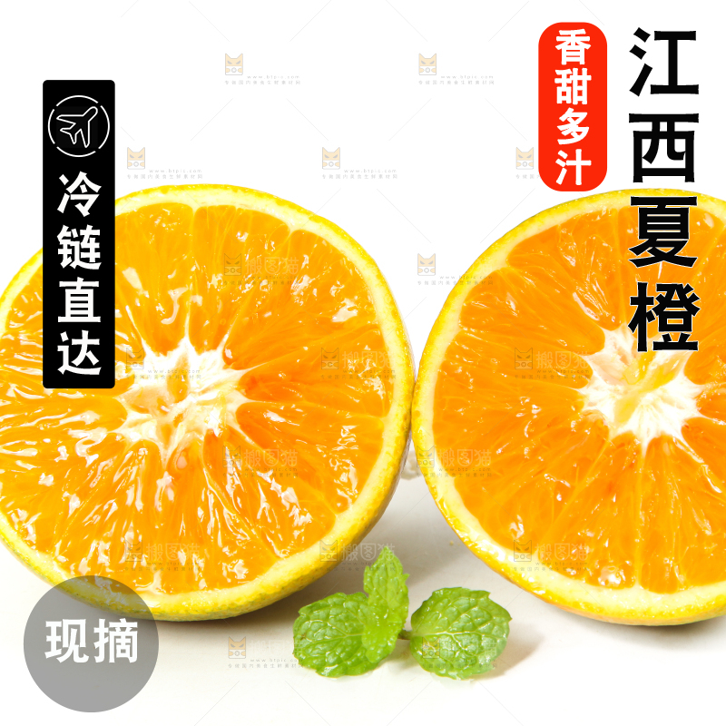 白底上放着的夏橙