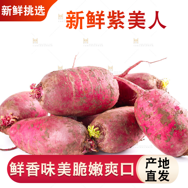 白底上的紫美人萝卜