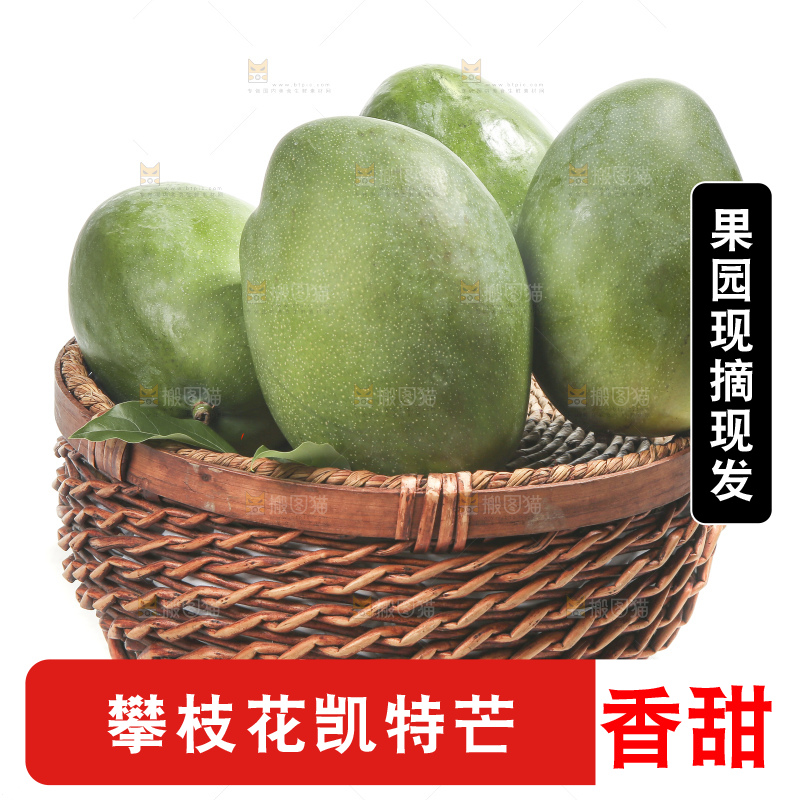 白底上的青皮凯特芒