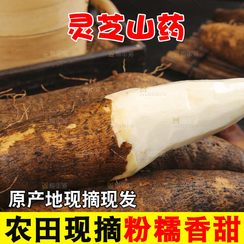 深底上的灵芝山药