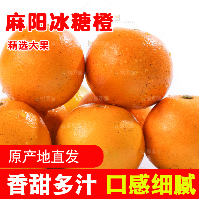 白底上的麻阳冰糖橙