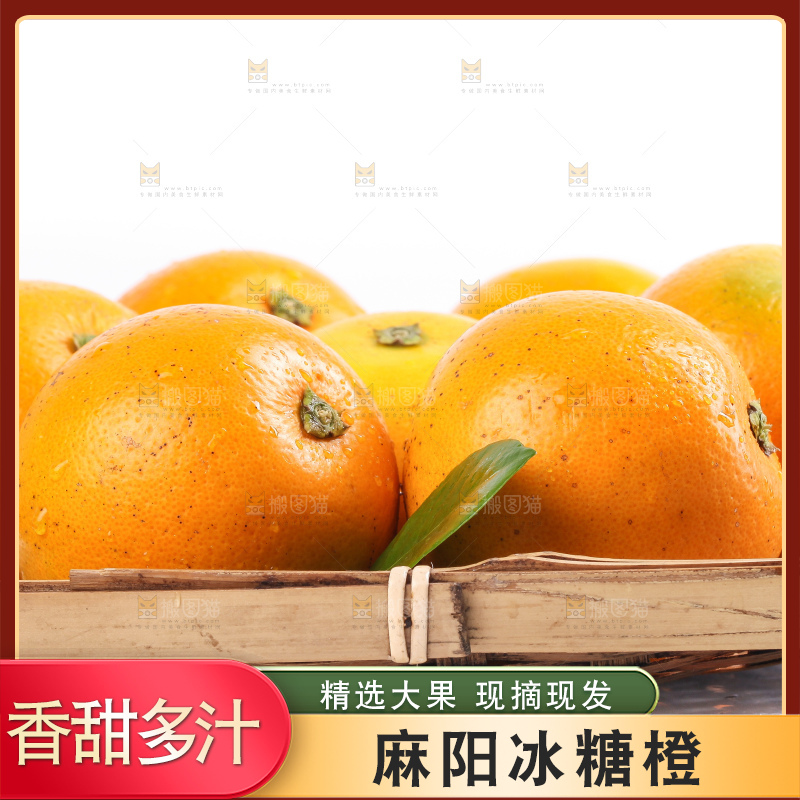 白底上的麻阳冰糖橙