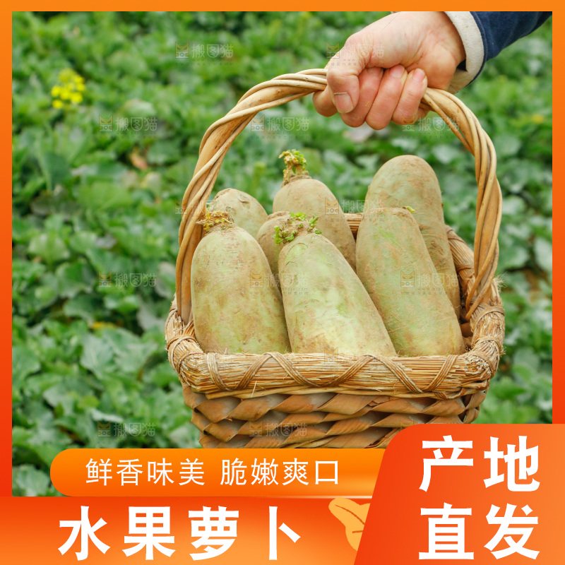 手里拿着水果萝卜