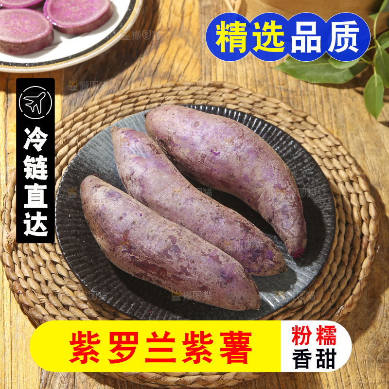 木底上的沙地紫薯
