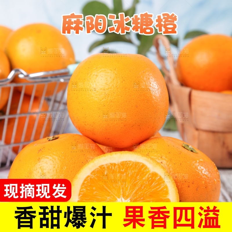 浅底上的麻阳冰糖橙
