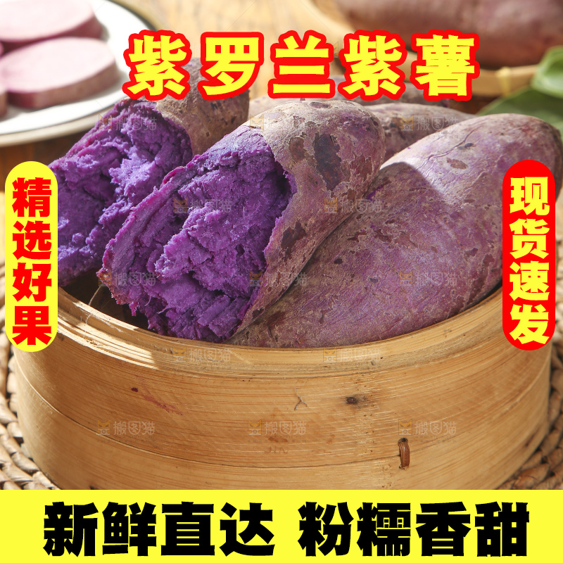 木底上的沙地紫薯