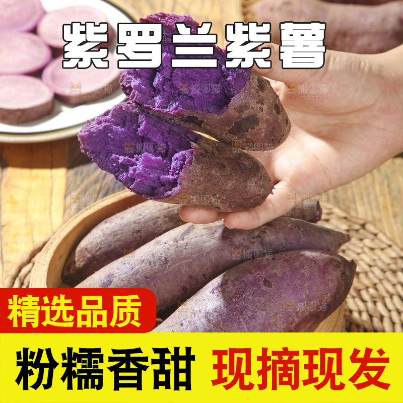 木底上的沙地紫薯
