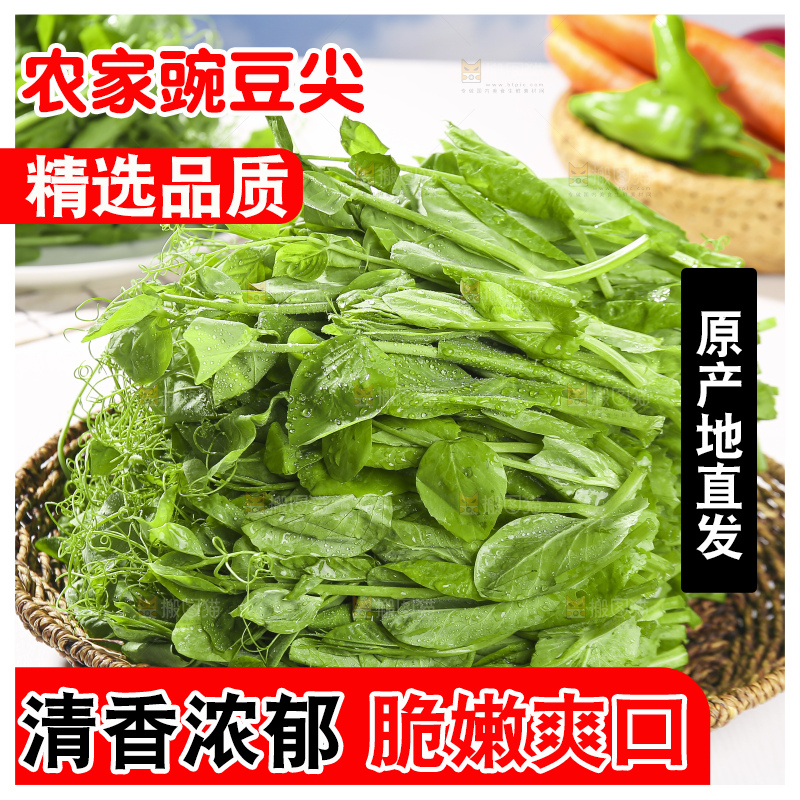 浅底上的豌豆尖