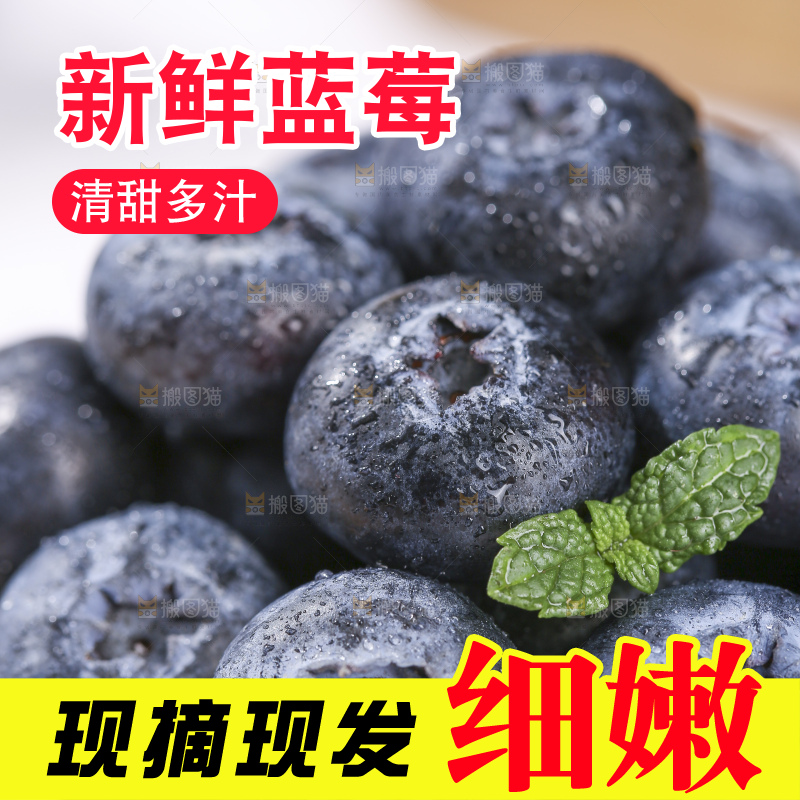 浅底上的新鲜蓝莓