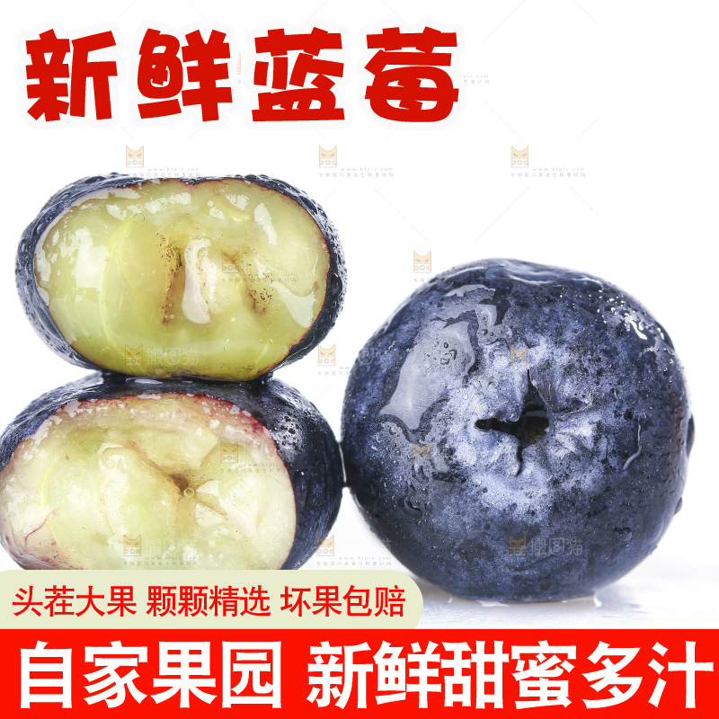 白底上放着的新鲜蓝莓