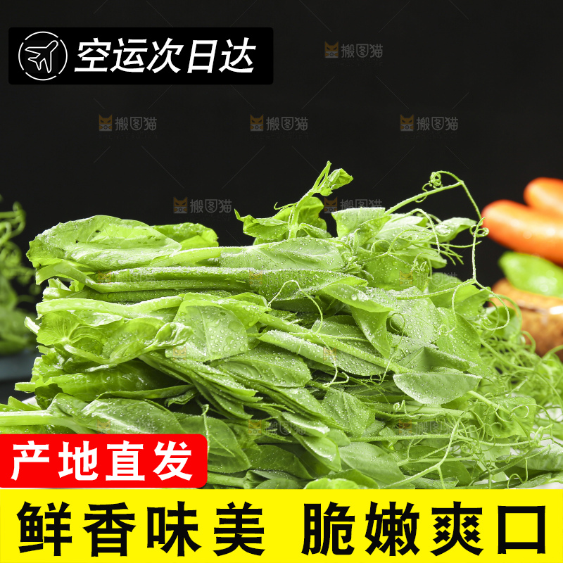 深底上的豌豆苗