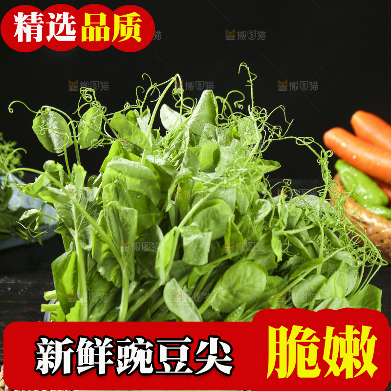 深底上的豌豆苗