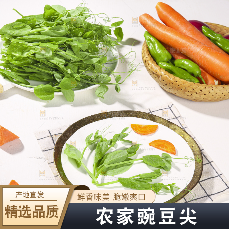 浅底上的豌豆尖