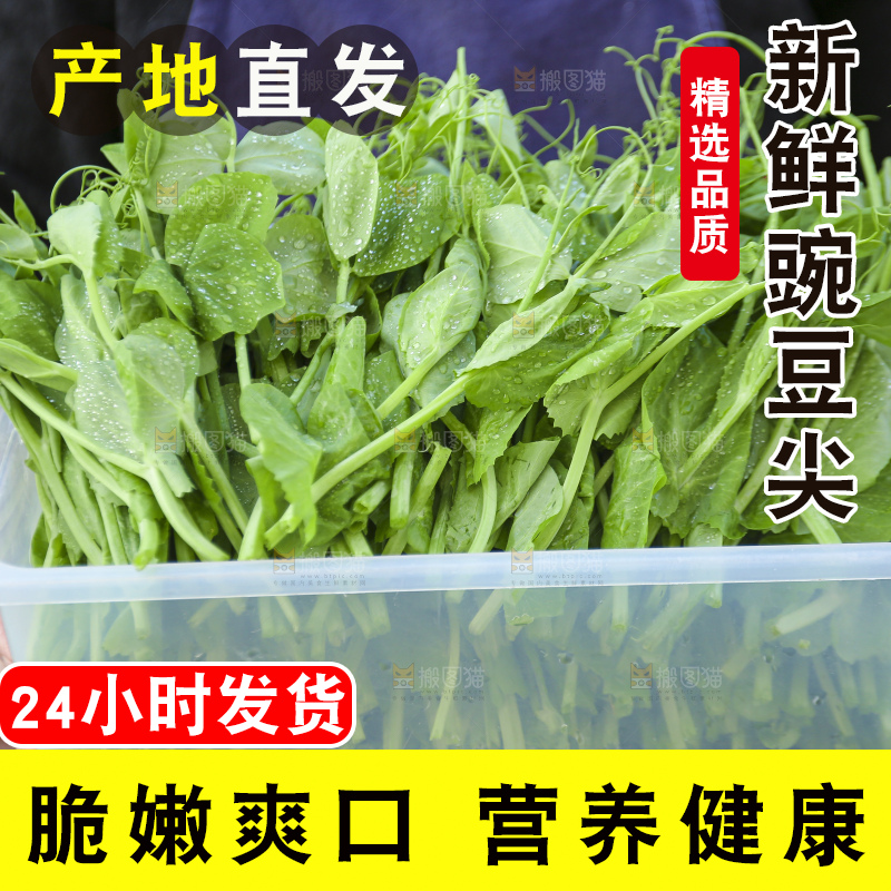 手里拿着豌豆尖