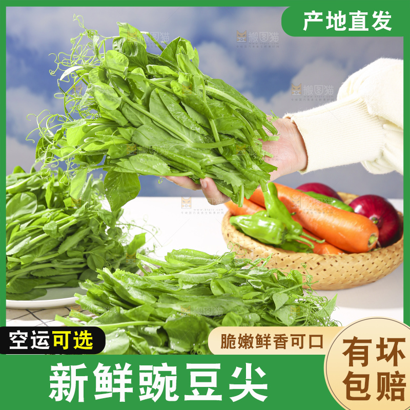 浅底上的豌豆尖