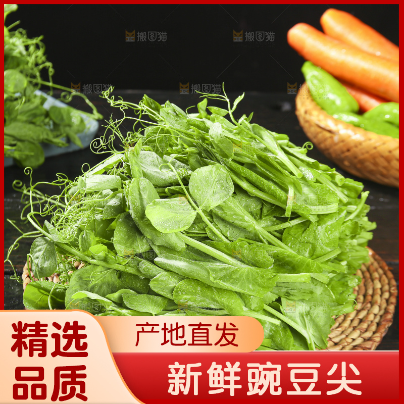 深底上的豌豆苗