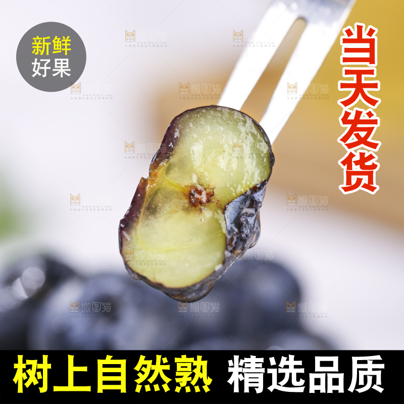 浅底上的新鲜蓝莓