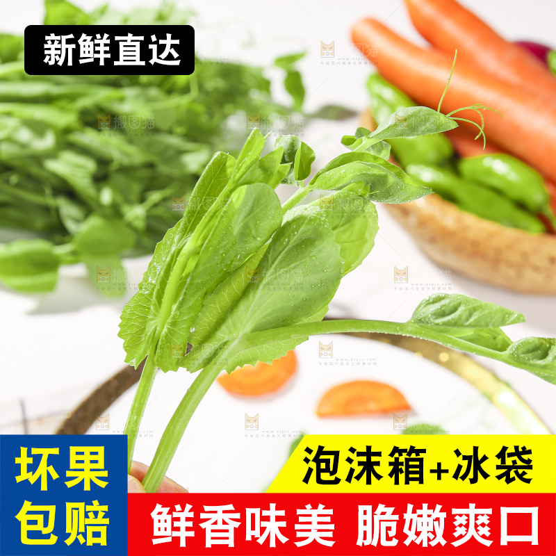 浅底上的豌豆尖