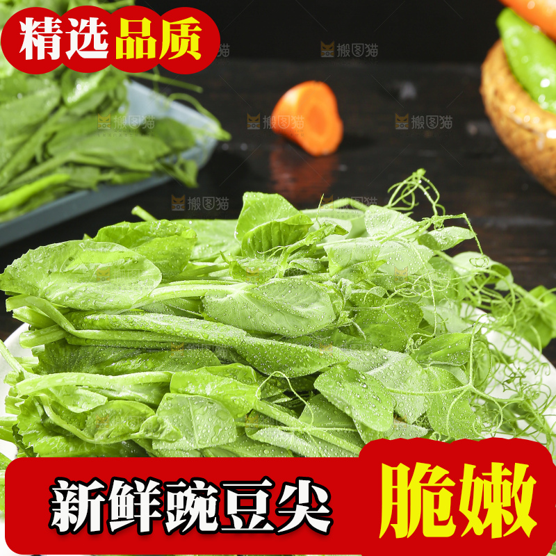 深底上的豌豆苗