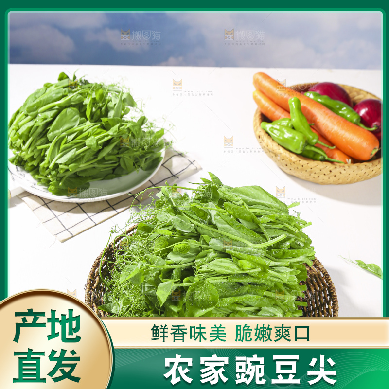 浅底上的豌豆尖