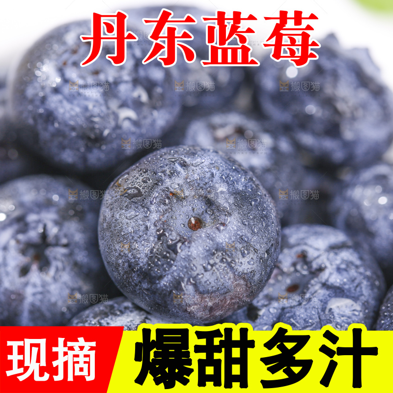 白底上放着的新鲜蓝莓