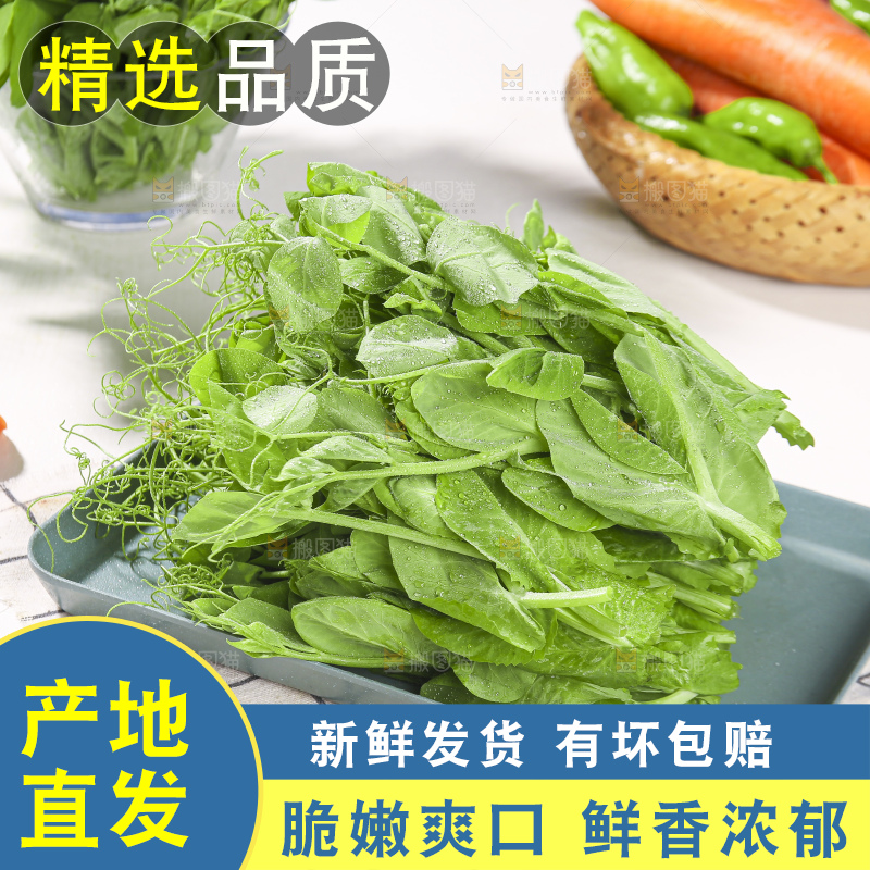 浅底上的豌豆尖