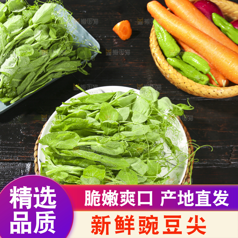 深底上的豌豆苗