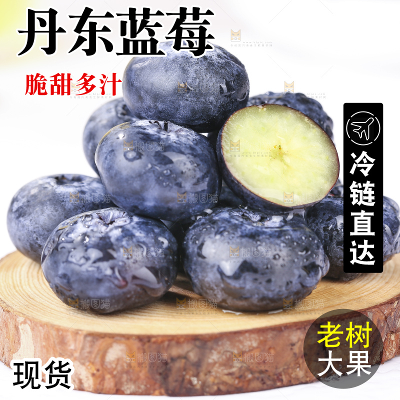 浅底上的新鲜蓝莓
