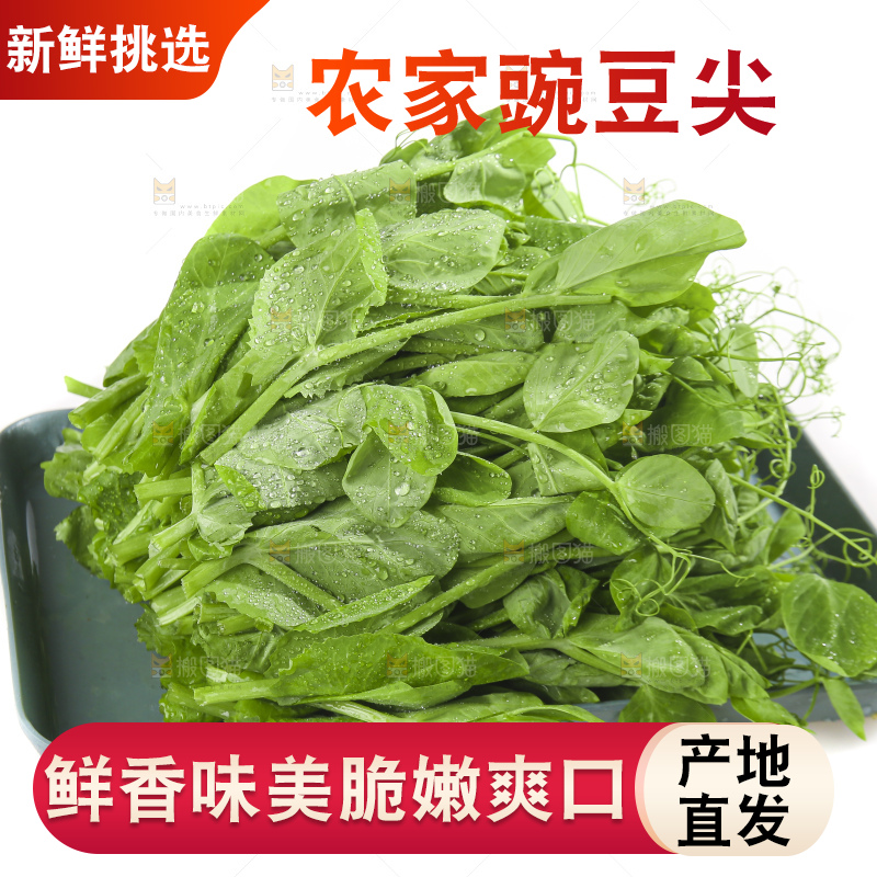 白底上的豌豆苗