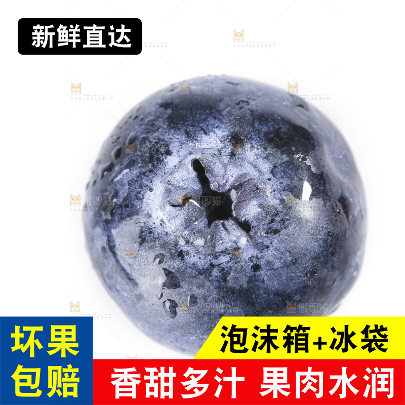 白底上放着的新鲜蓝莓