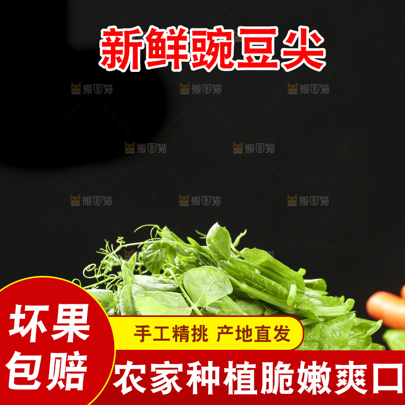 深底上的豌豆苗