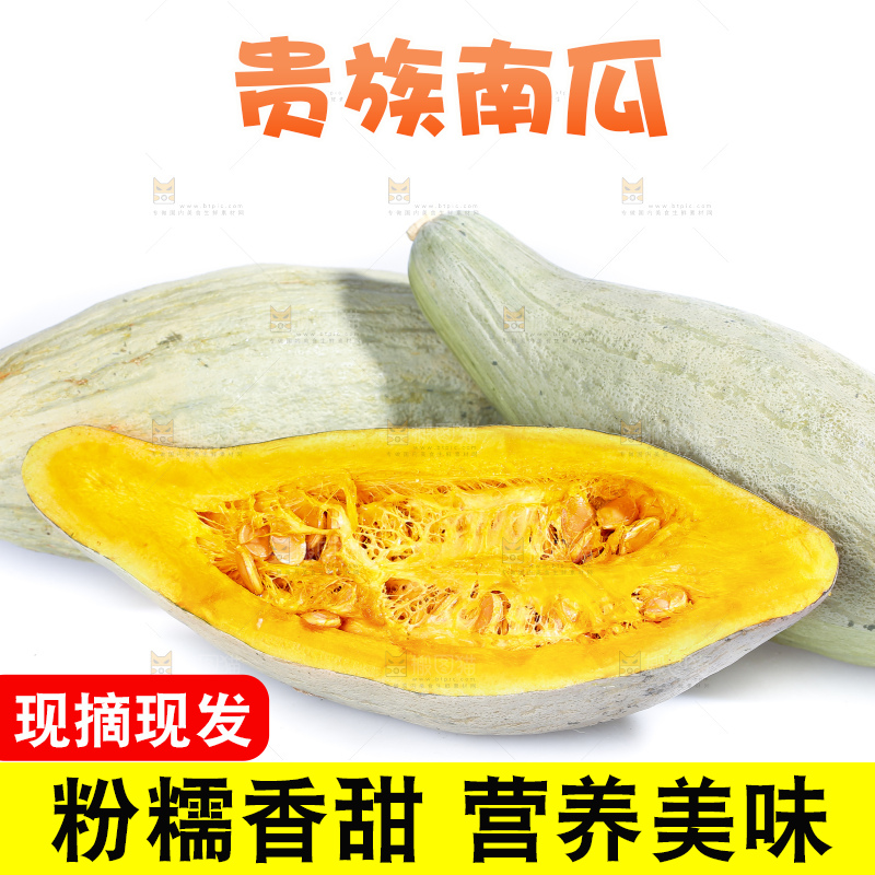白底上的贵族南瓜