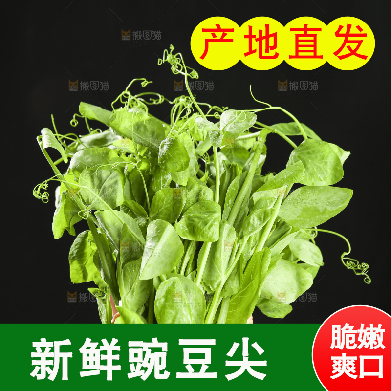 深底上的豌豆苗