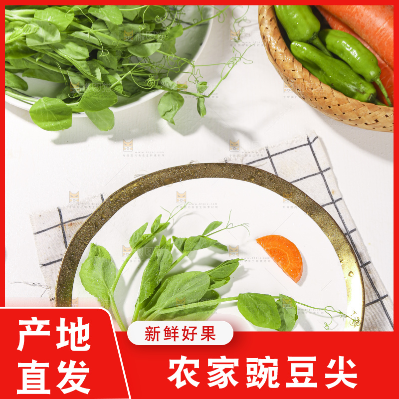 浅底上的豌豆尖