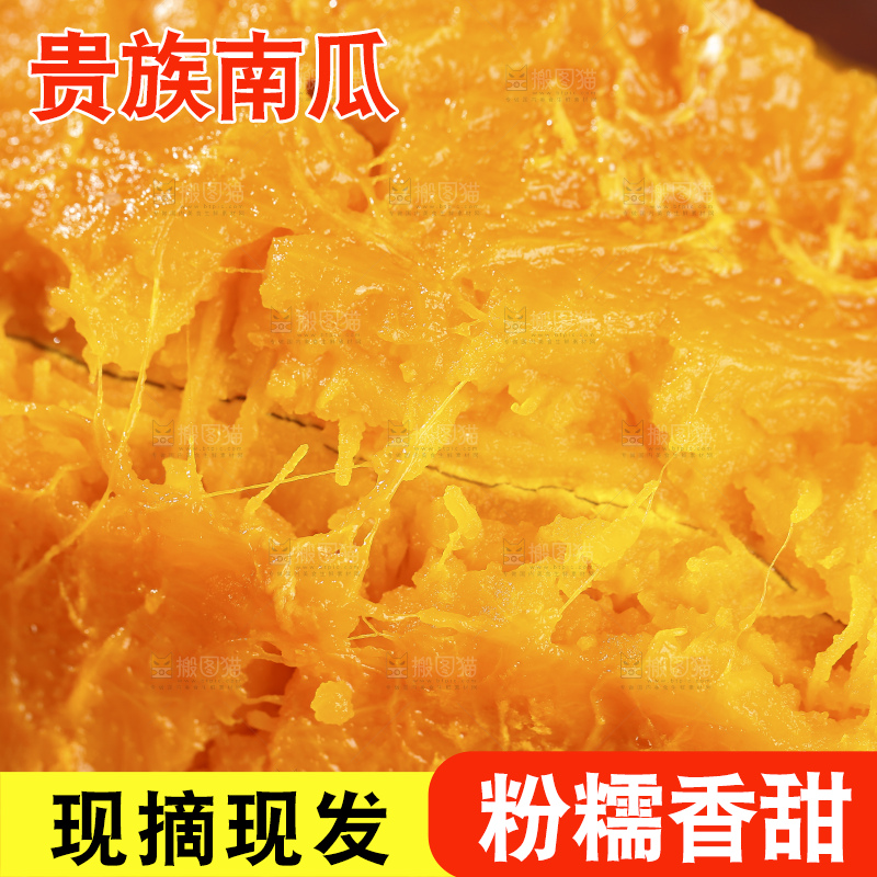 深底上的贵族南瓜