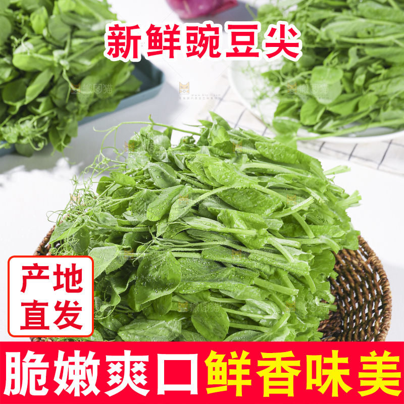 浅底上的豌豆尖