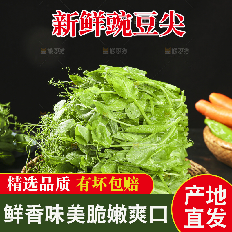 深底上的豌豆苗