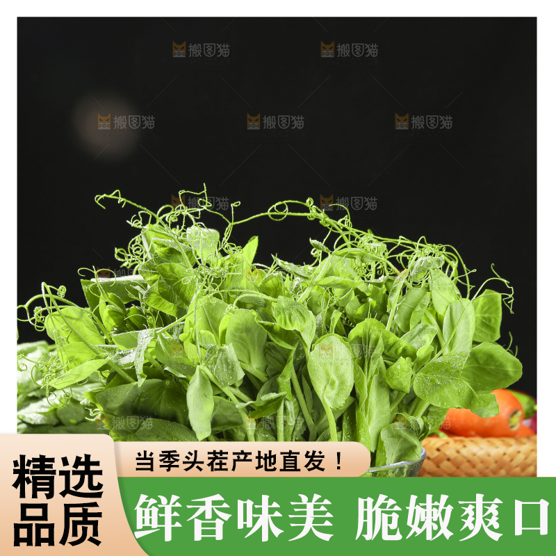 深底上的豌豆苗