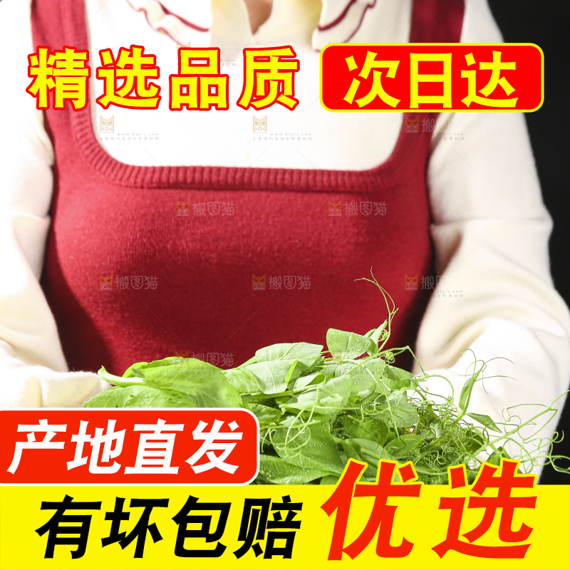 深底上的豌豆苗
