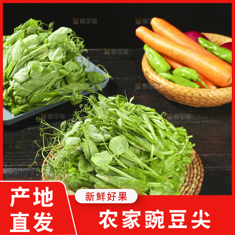 深底上的豌豆苗