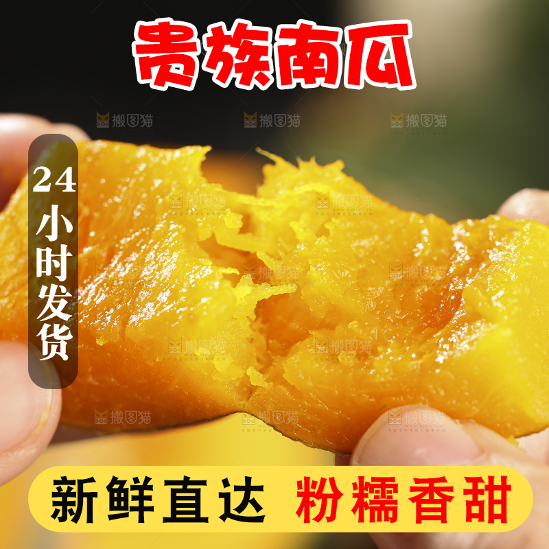 深底上的贵族南瓜