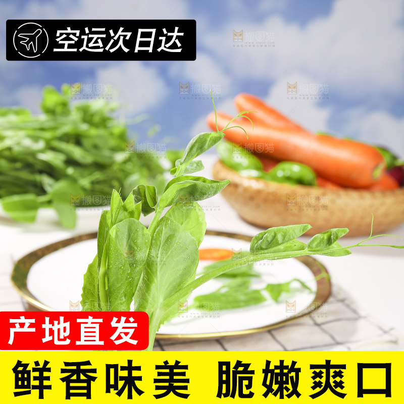 浅底上的豌豆尖