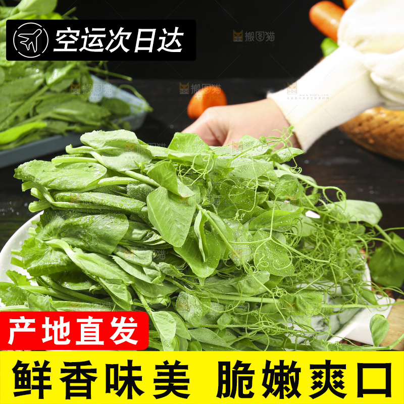 深底上的豌豆苗