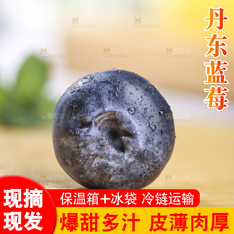 浅底上的新鲜蓝莓