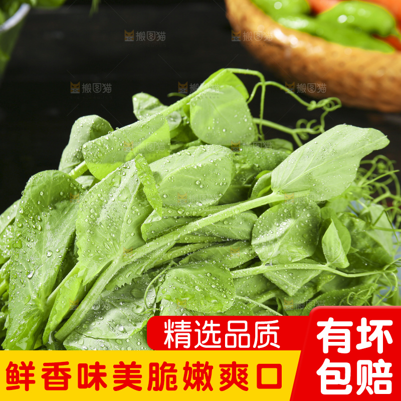 深底上的豌豆苗