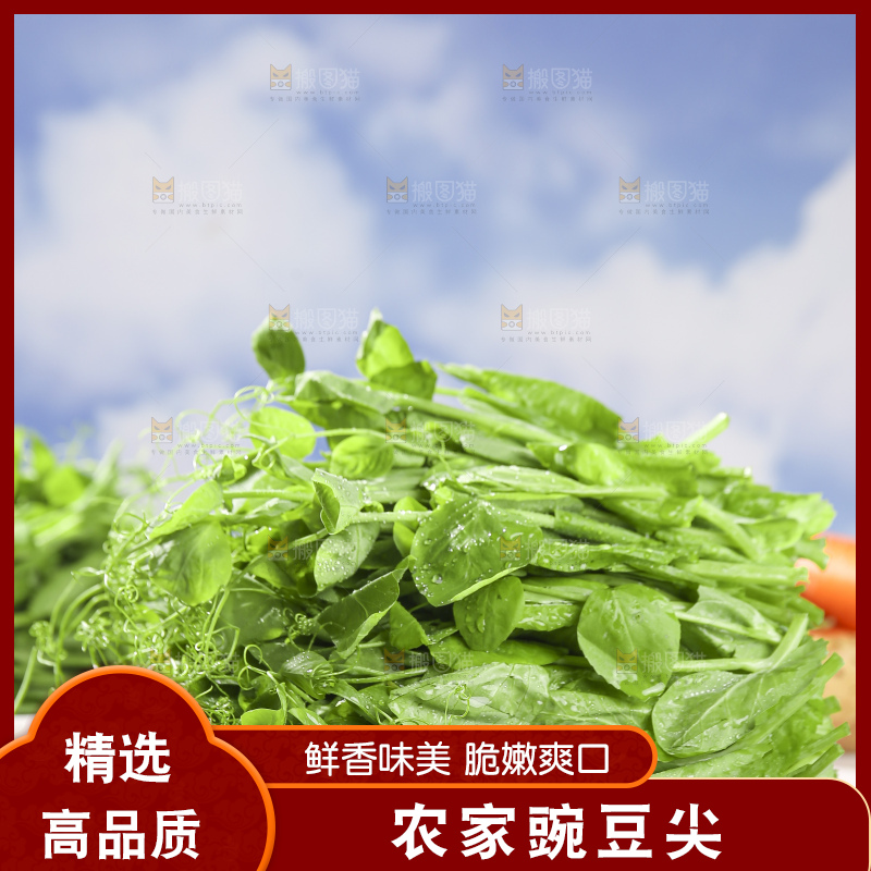 浅底上的豌豆尖