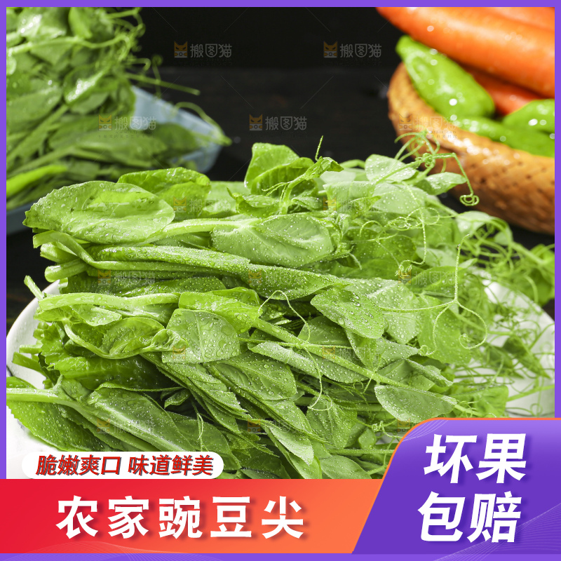 深底上的豌豆苗
